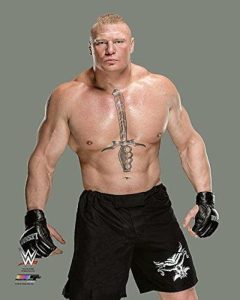 Brock Lesnar Earning