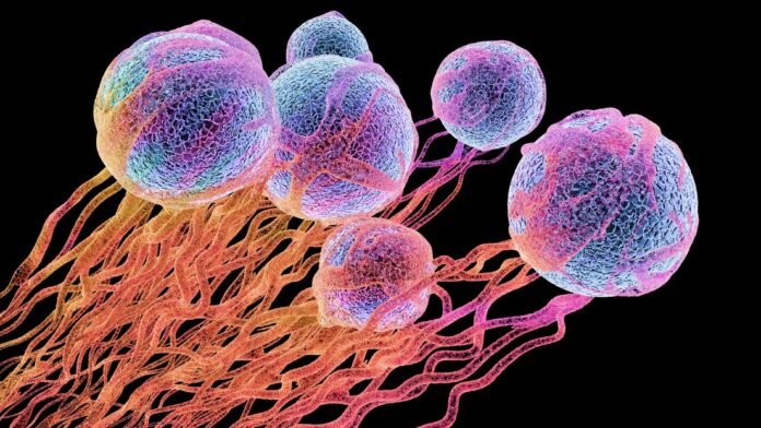combatir el Cáncer