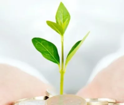 Créditos verdes representan el 33% de la cartera evaluada por la banca dominicana