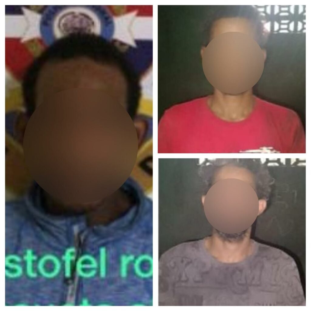 Dicrim apresa a “Cara Cortada”, “El Pato” y “Javi” acusados de múltiples robos en el Mirador Sur, D.N.