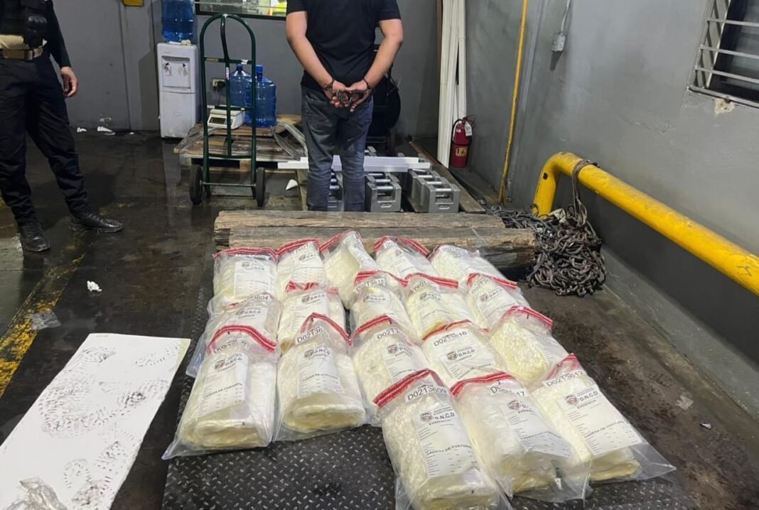 DNCD CONFISCA EN AEROPUERTO CIBAO 58 KILOGRAMOS DE COCAÍNA CAMUFLADOS EN CAJAS DE PESCADO