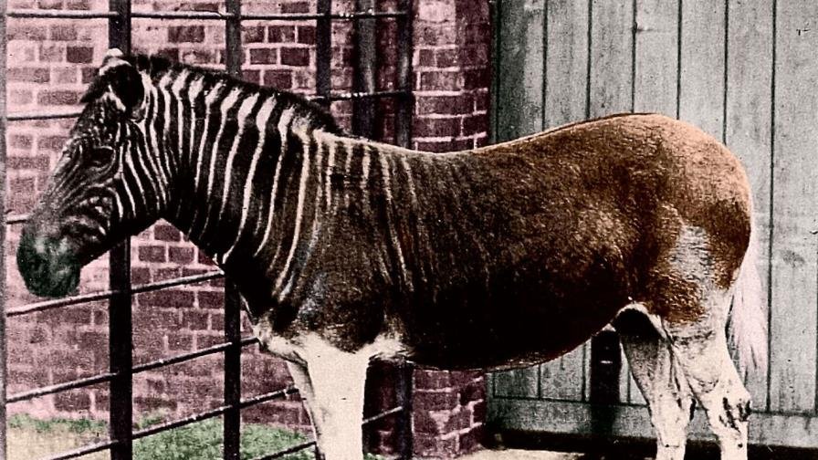 Hoy es martes 12 de agosto del 2025