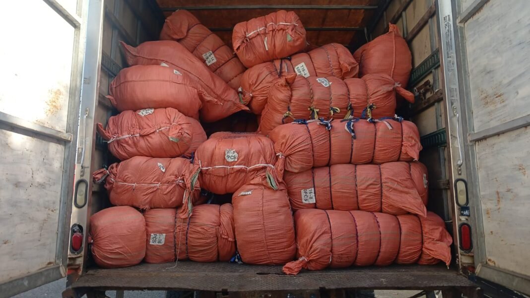 Ministerio Público ocupa más de 70 mil útiles escolares falsificados en operativos