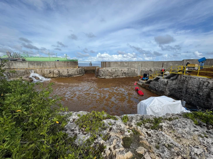 AES suspende operaciones en planta eléctrica de Boca Chica por acumulación de sargazo AES suspende operaciones en planta eléctrica de Boca Chica por acumulación de sargazo