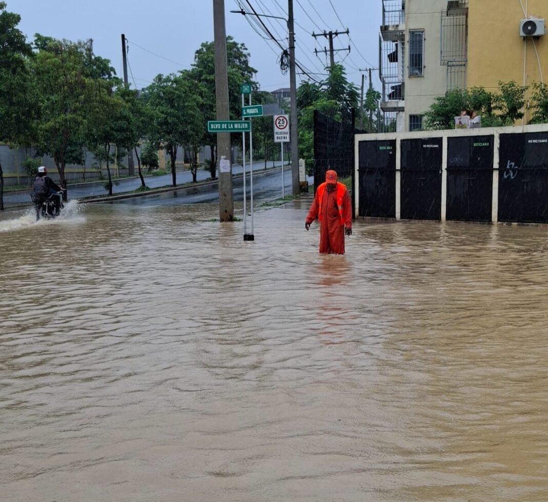 COE: Lluvias dejan de manera preliminar 2,555 desplazados y 511 viviendas dañadas; siguen lluvias COE: Lluvias dejan de manera preliminar 2,555 desplazados y 511 viviendas dañadas; siguen lluvias