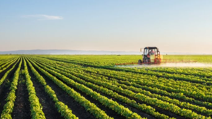 ¿Cómo puede la agricultura duplicar su aporte al PIB de República Dominicana? ¿Cómo puede la agricultura duplicar su aporte al PIB de República Dominicana?