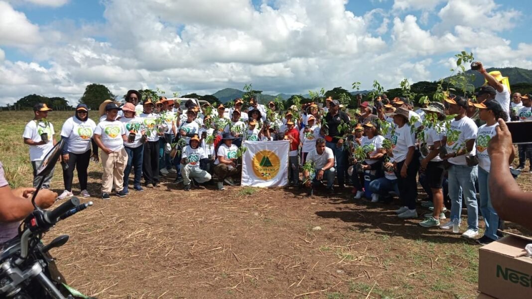 Coopsema y Aduanas impulsan jornada de reforestación con 3,500 árboles en El Seibo Coopsema y Aduanas impulsan jornada de reforestación con 3,500 árboles en El Seibo