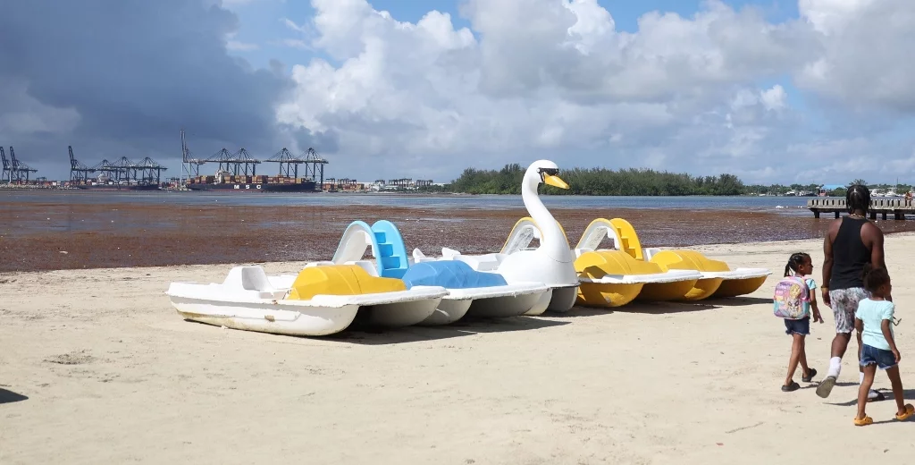 El sargazo convierte la playa de Boca Chica en una área “desierta” El sargazo convierte la playa de Boca Chica en una área “desierta”