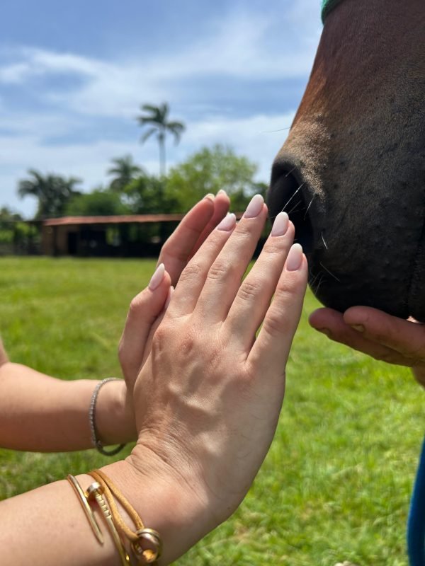 Especialista resalta beneficios de la equinoterapia y expone desafíos para su expansión en RD