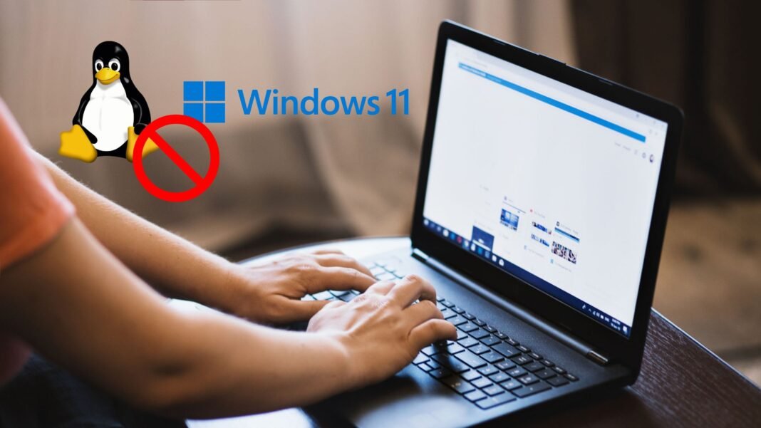 Ni Windows 11 ni Linux, este sistema operativo de Microsoft lanzado hace 16 años ha crecido un 100% en solo dos meses
