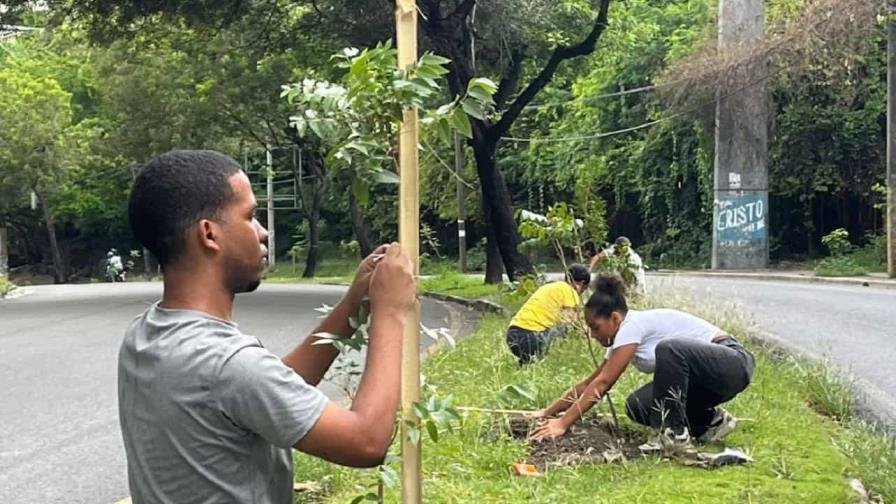 Noventa minutos plantando árboles reduce la ansiedad y el estrés, según estudio