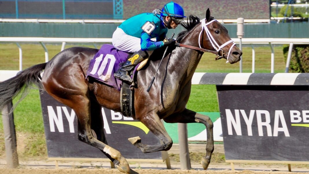 Por primera vez en 40 años, ningún jockey japonés debutará en las carreras de caballos: echan la culpa a los móviles y la comida rápida Por primera vez en 40 años, ningún jockey japonés debutará en las carreras de caballos: echan la culpa a los móviles y la comida rápida