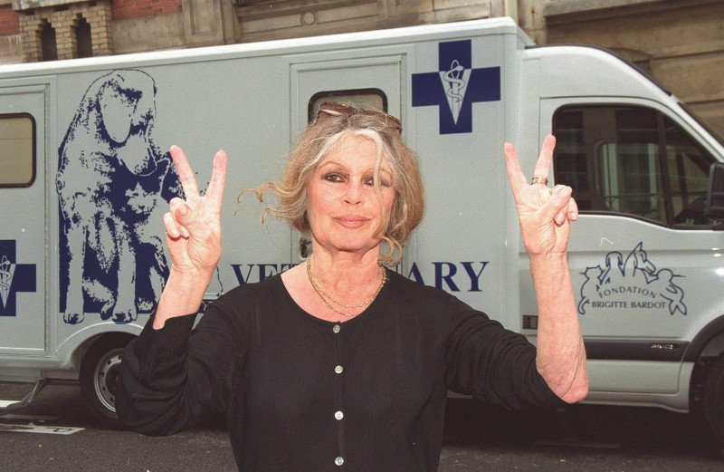 Actriz francesa Brigitte Bardot sale del hospital y regresa a su casa de Saint-Tropez Actriz francesa Brigitte Bardot sale del hospital y regresa a su casa de Saint-Tropez