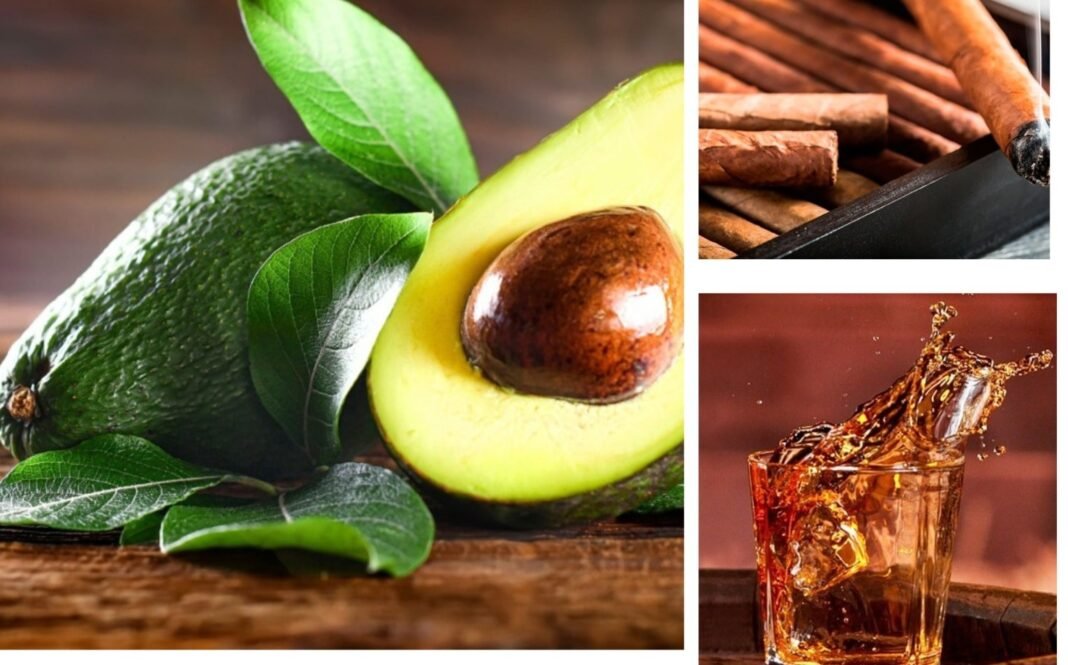 Aguacate, ron y tabaco, entre los productos dominicanos más consumidos en España Aguacate, ron y tabaco, entre los productos dominicanos más consumidos en España