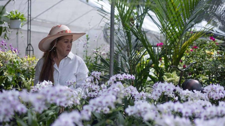 Amantes de las plantas se congregan en el Jardín Botánico Nacional para el Festival 2025 Amantes de las plantas se congregan en el Jardín Botánico Nacional para el Festival 2025