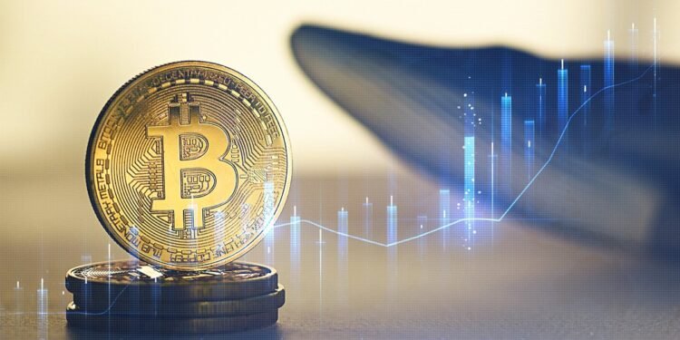 Ballena que ganó USD 150 millones con la caída de bitcoin vuelve a abrir short Ballena que ganó USD 150 millones con la caída de bitcoin vuelve a abrir short