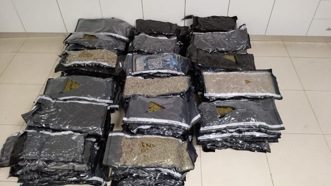 CAPTURAN HOMBRE VINCULAN AL DECOMISO DE 118 PAQUETES DE MARIHUANA EN AEROPUERTO DEL CIBAO CAPTURAN HOMBRE VINCULAN AL DECOMISO DE 118 PAQUETES DE MARIHUANA EN AEROPUERTO DEL CIBAO