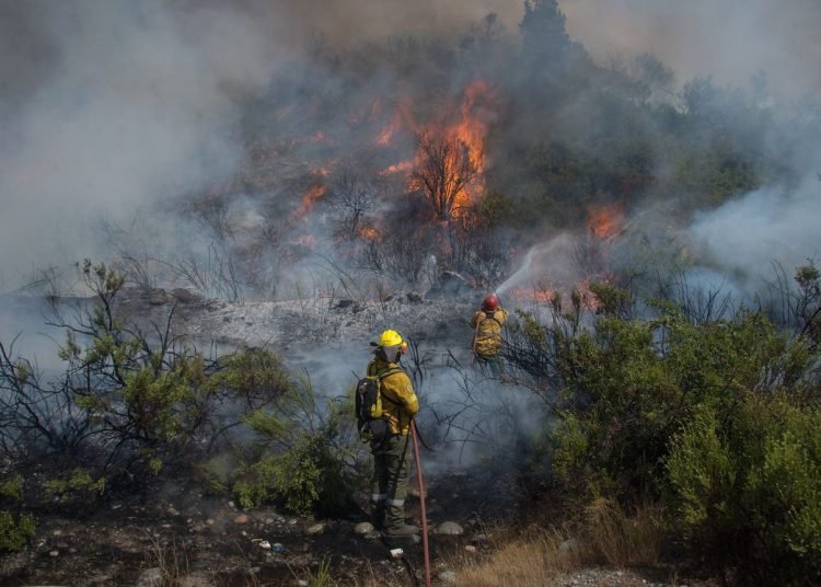 Gasto en medioambiente en RD fue de RD$11,433.21 millones en 2024 Gasto en medioambiente en RD fue de RD$11,433.21 millones en 2024