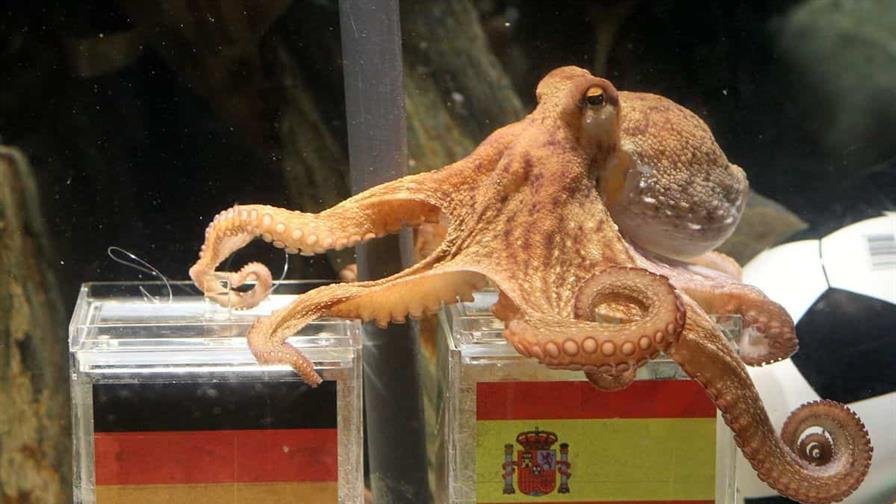 Hoy es domingo 26 de octubre del 2025