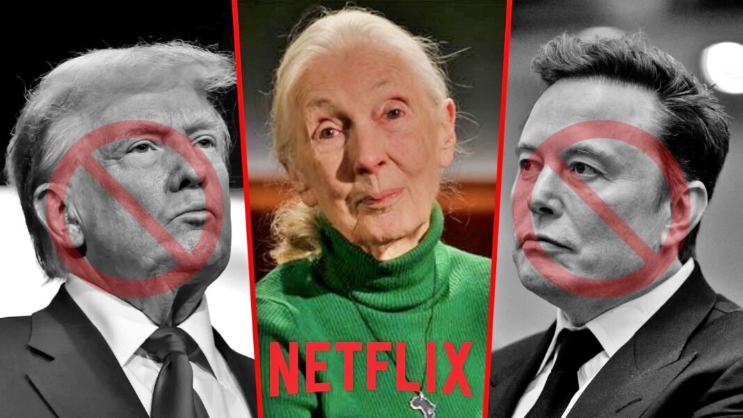 Jane Goodall dejó un mensaje para Elon Musk antes de su muerte: “Claro que sí, él sería el anfitrión” Jane Goodall dejó un mensaje para Elon Musk antes de su muerte: “Claro que sí, él sería el anfitrión”