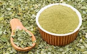 Moringa: el árbol milagroso que conquista la medicina natural por sus múltiples beneficios Moringa: el árbol milagroso que conquista la medicina natural por sus múltiples beneficios