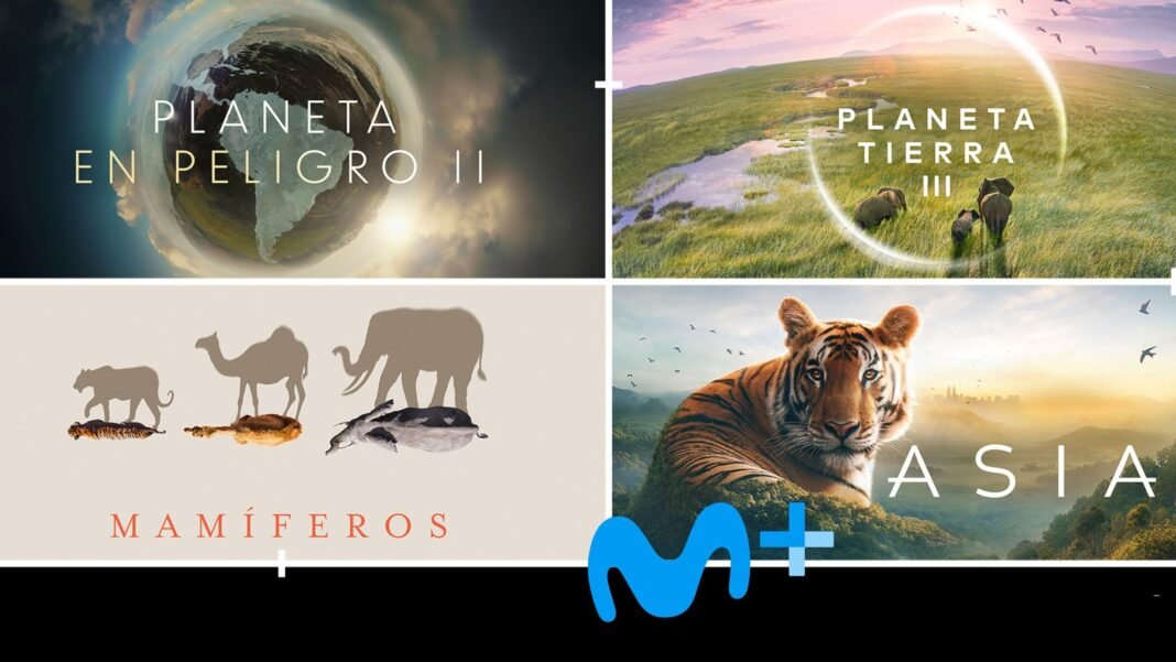 Movistar Plus+ tiene un regalo para sus clientes: nuevos canales y el lanzamiento en España de BBC Player Movistar Plus+ tiene un regalo para sus clientes: nuevos canales y el lanzamiento en España de BBC Player