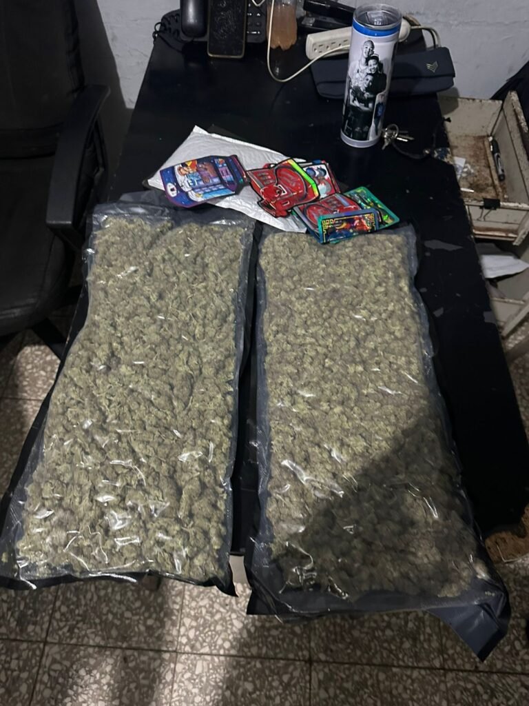 Policía Nacional detiene a la artista urbana “Masha” y a un hombre con dos paquetes de presunta marihuana en operativo preventivo realizado en Villa Francisca, DN. Policía Nacional detiene a la artista urbana “Masha” y a un hombre con dos paquetes de presunta marihuana en operativo preventivo realizado en Villa Francisca, DN.