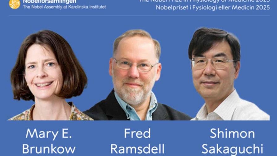 Premio Nobel de Medicina: por qué descubrir la tolerancia inmunológica periférica es importante Premio Nobel de Medicina: por qué descubrir la tolerancia inmunológica periférica es importante