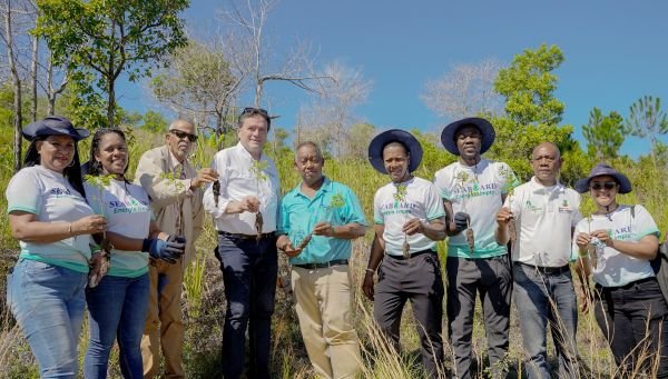Seaboard reforesta la Loma Guaigüí, en La Vega Seaboard reforesta la Loma Guaigüí, en La Vega