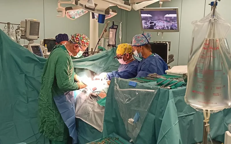 Una persona logra vivir casi seis meses con un hígado de cerdo trasplantado Una persona logra vivir casi seis meses con un hígado de cerdo trasplantado