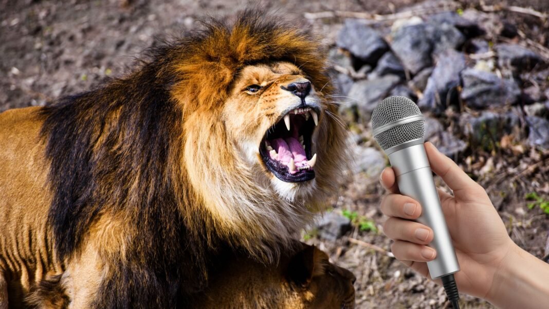 Usando una simple grabadora, biólogos descubren el animal que más pánico causa en África, y no es el león ni la hiena Usando una simple grabadora, biólogos descubren el animal que más pánico causa en África, y no es el león ni la hiena