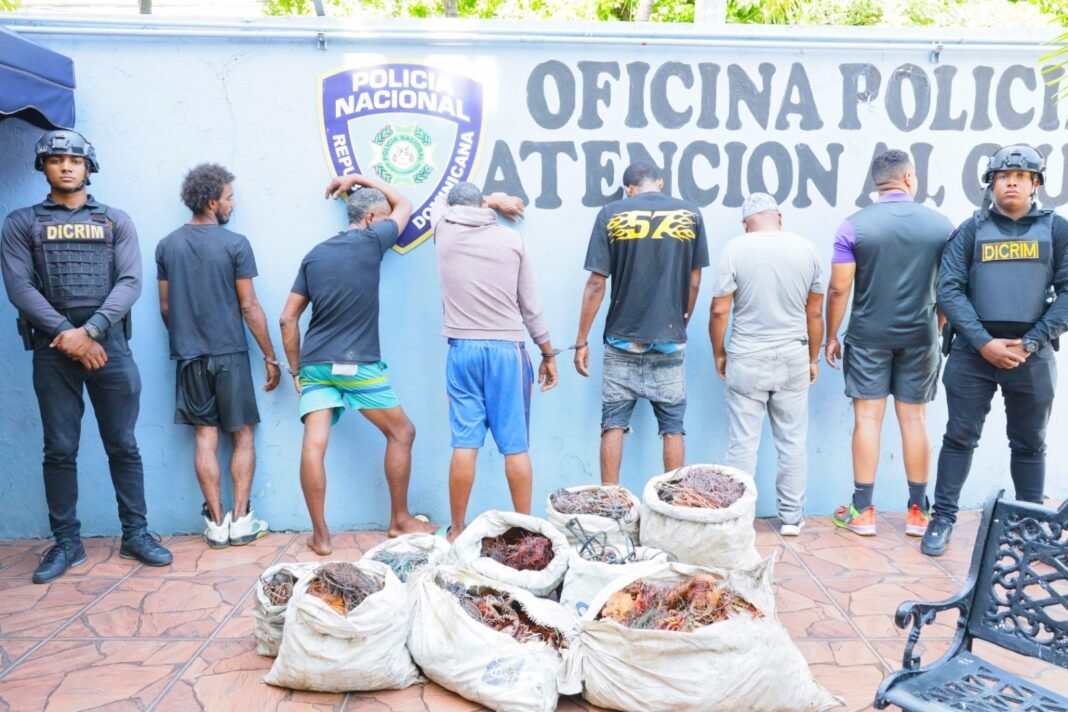 Policía desmantela banda que robaba cables de semáforos en el DN