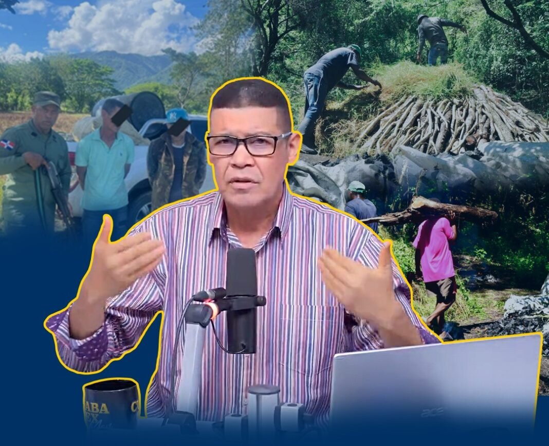 Ricardo Nieves truena en contra de haitianos talan árboles: «Haciendo hornos para sacar carbón»