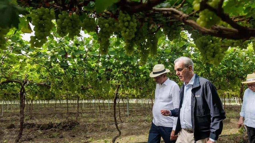 Uvas de San Juan: un modelo agrícola moderno de la Universidad UFHEC, destacado por Abinader