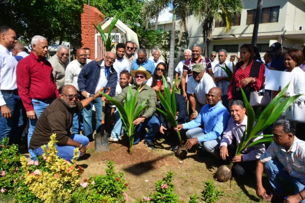 Director del FEDA resalta que “el país está sembrado de coco por todas partes”