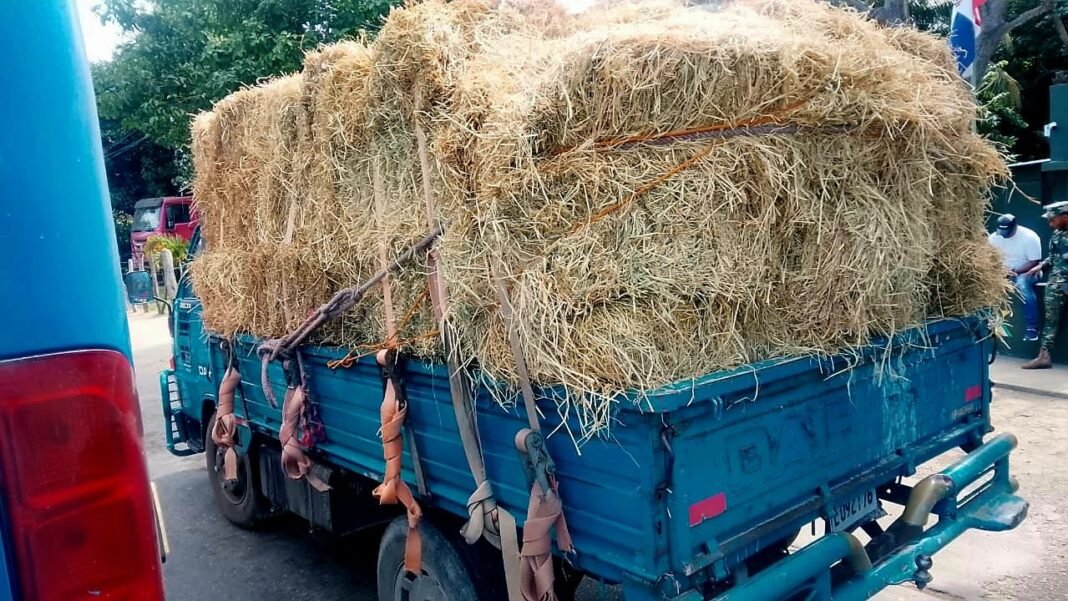 Ejército ocupa 280 mil cigarrillos ilícitos ocultos bajo carga de paja en un camión en Montecristi
