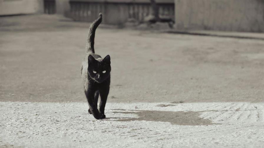 Atención a los brujeros: 2026 viene con dos martes 13 y tres viernes 13