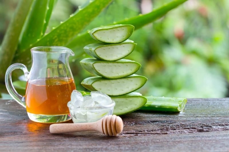 El aloe vera, un aliado natural para la salud digestiva y el bienestar general