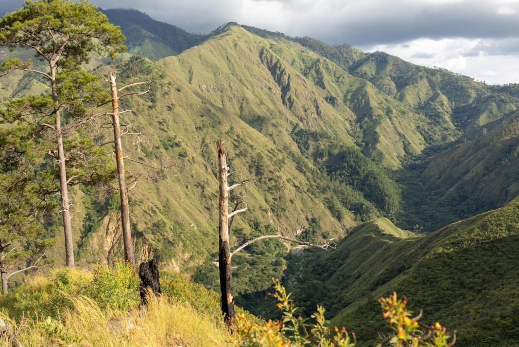 Medio Ambiente anuncia apertura de una nueva ruta ecoturística de presa Palomino