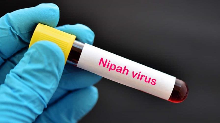 Nipah, claves de un virus emergente y sin tratamiento que mantiene en alerta a la India