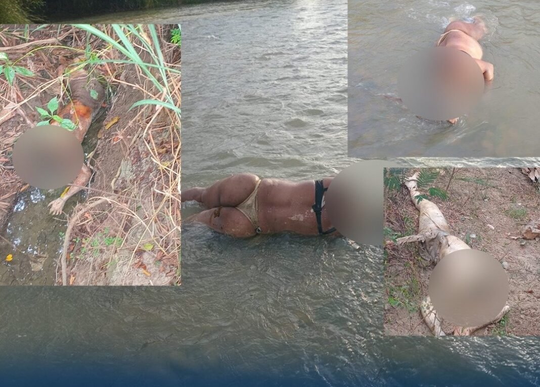 ¡La Vaina Está Seria! Más de Cinco Mujeres Decapitadas en Macasías Causa Pánico en la Frontera