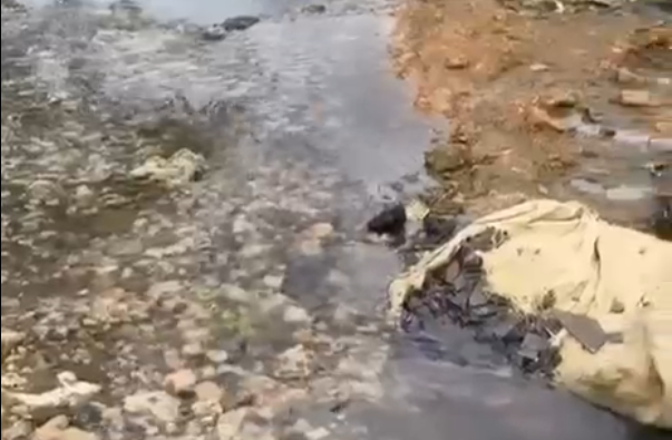 ¡Qué vaina! Las ‘aguas residuales’ ahogan la esperanza en Los Rielitos Abajo de SFM Aguas residuales ahogan la esperanza en Los Rielitos Abajo de SFM