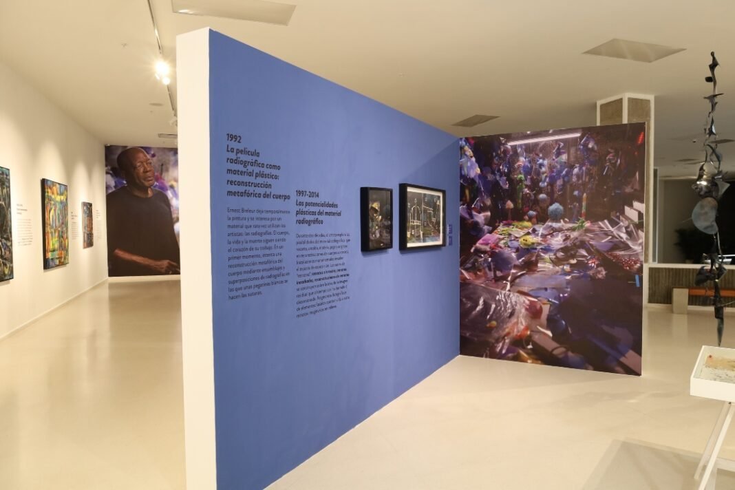 La expo de Breleur en el MAM: ¡Una vaina chula del arte caribeño que no te puedes perder!