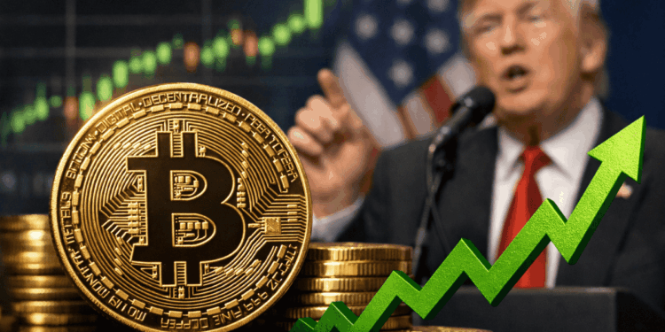 Trump y Bitcoin: ¡Qué Vaina con la Calma en Oriente!