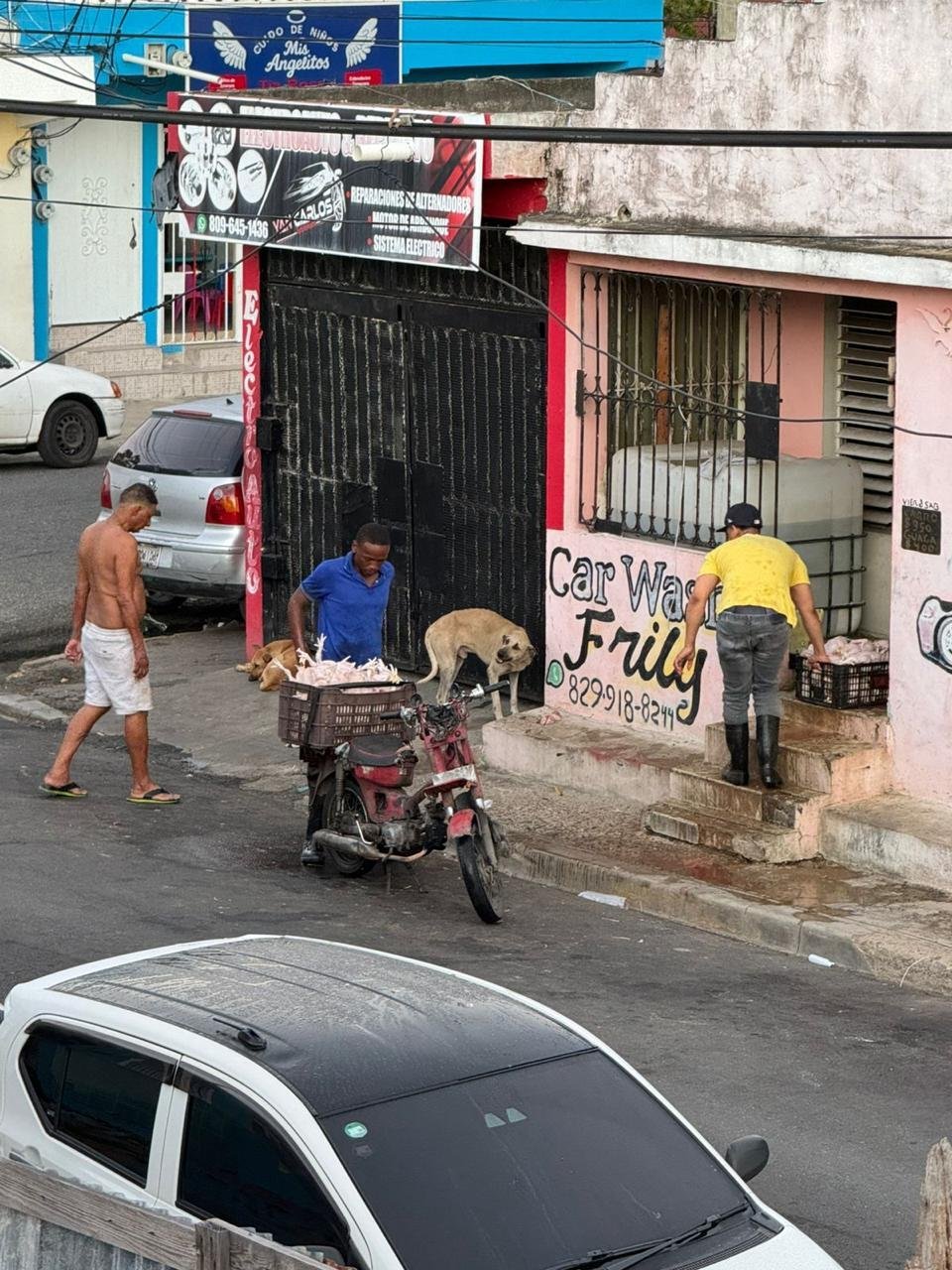 El Relajo con los Pollos en Los Mina: ¡Una Vaina Inaguantable!