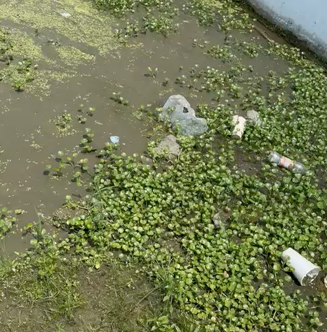 Hoyo y Aguas Negras en San Francisco de Macorís: Un Peligro al Aire Libre