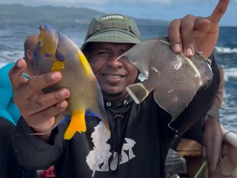 Captura de Pez Loro: ¡Que nadie se haga el ‘jevi’ con nuestra biodiversidad! Captura de Pez Loro: Violación a la Veda Permanente