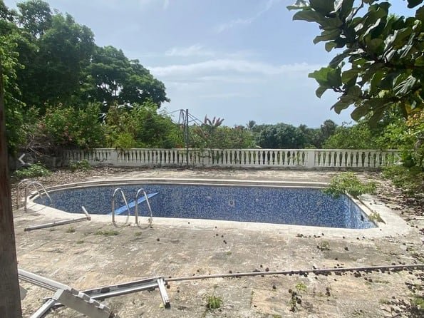 ¡La Subasta de Incabide: No te quedes fuera de esta ‘vaina’ bacana! La Subasta de Incabide: No te quedes fuera