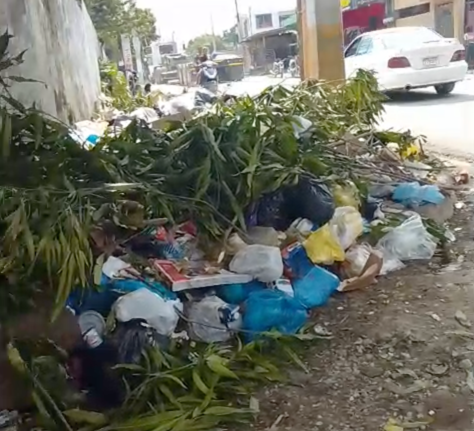Manoguayabo: La Basura Tiene a la Gente Harta, Que se Resuelva Ya