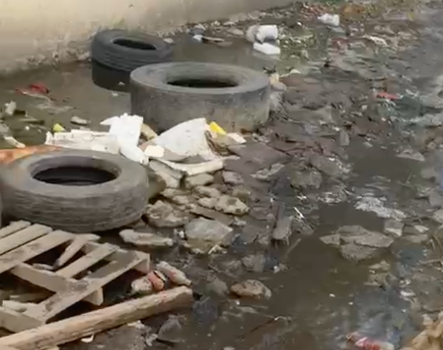 La ‘vaina’ de la Contaminación en la París: Un Problema de Salud Pública La vaina de la Contaminación en la París: Un Problema de Salud Pública